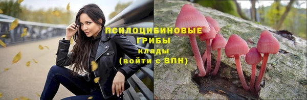 стаф Киреевск